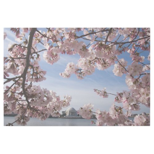 Monuments  Jefferson Memorial Cherry Blossoms Gallery Wrap