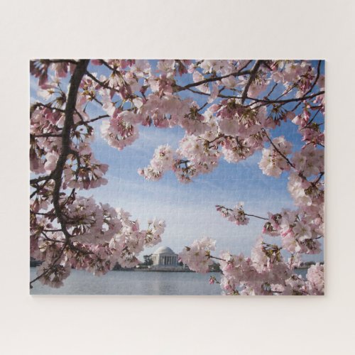 Monuments  Jefferson Memorial Cherry Blossoms Jigsaw Puzzle