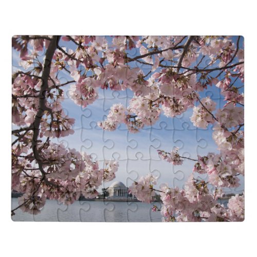 Monuments  Jefferson Memorial Cherry Blossoms Jigsaw Puzzle