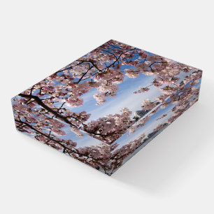 Monuments Jefferson Memorial Cherry Blossoms Paperweight