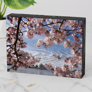 Monuments   Jefferson Memorial Cherry Blossoms Wooden Box Sign