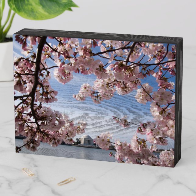 Monuments | Jefferson Memorial Cherry Blossoms Wooden Box Sign (In Situ Horizontal)