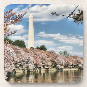 Monuments Washington Memorial Beverage Coaster