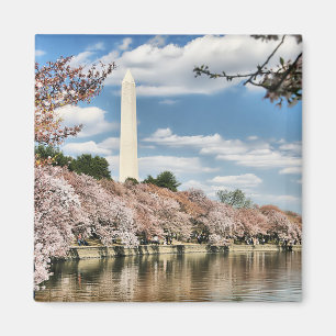 Monuments Washington Memorial Magnet