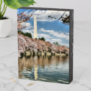 Monuments Washington Memorial Wooden Box Sign