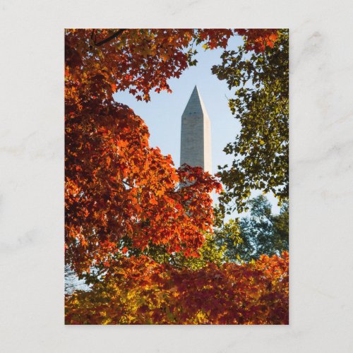 Monuments  Washington Monument in Autumn Postcard