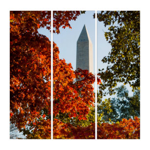 Monuments   Washington Monument in Autumn Triptych