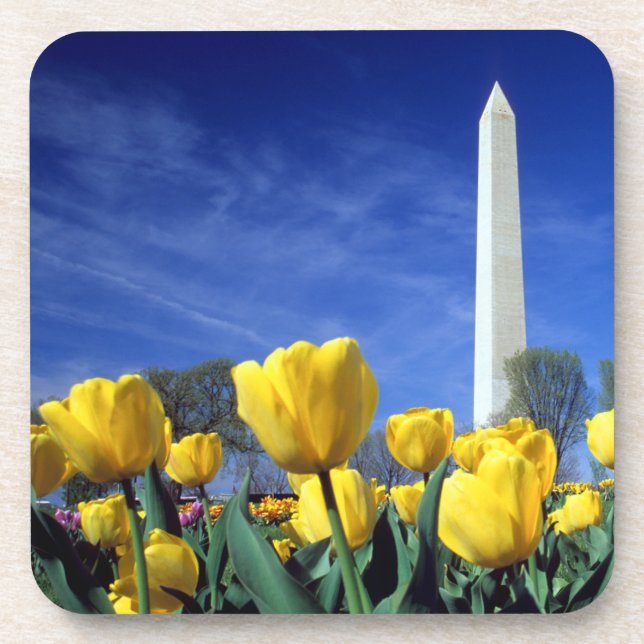 Monuments | Washington Monument in Spring Beverage Coaster (Front)