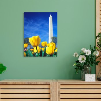 Monuments | Washington Monument In Spring Canvas Print by intothewild at Zazzle