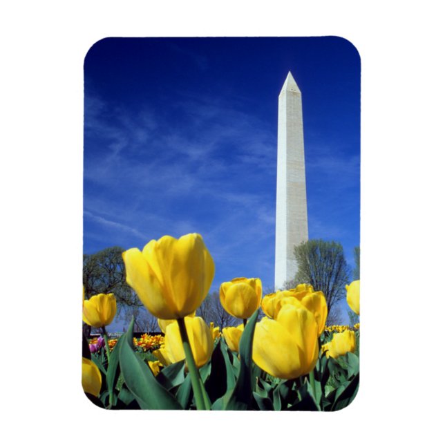 Monuments | Washington Monument in Spring Magnet (Vertical)