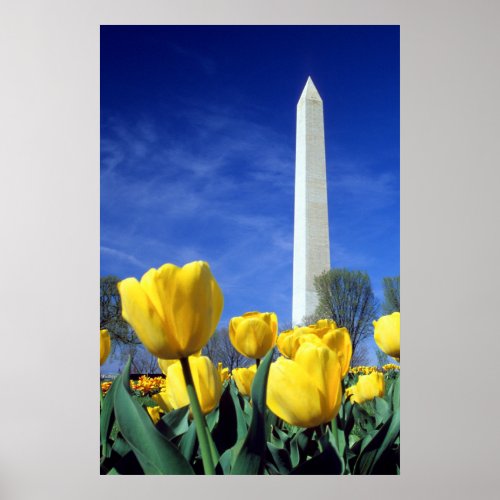 Monuments  Washington Monument in Spring Poster