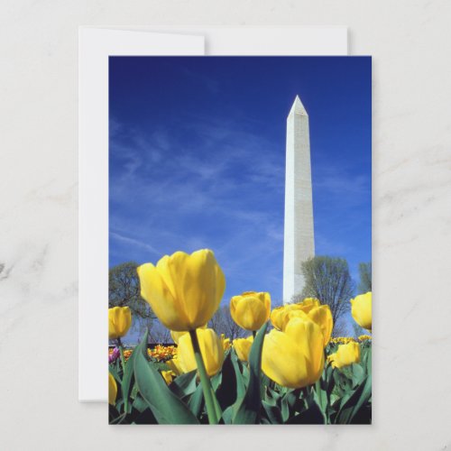 Monuments  Washington Monument in Spring Thank You Card
