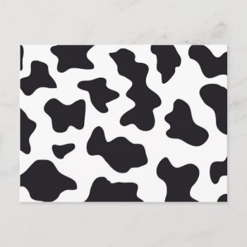 Moo Black And White Dairy Cow Pattern Print Gifts Postcard by PrettyPatternsGifts at Zazzle