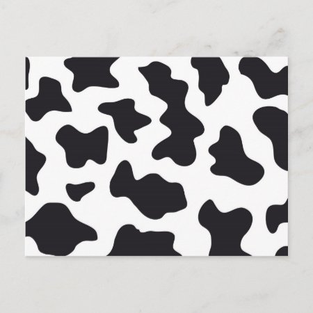 Moo Black And White Dairy Cow Pattern Print Gifts Postcard
