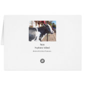 Moo Cards (Back Horizontal)