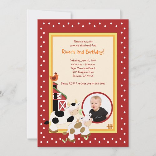 Moo Cow Farm Barnyard *PHOTO* Birthday Invitations