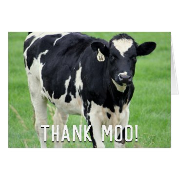 Moo Cow Thank You Card Moo Cow Thank You Card
