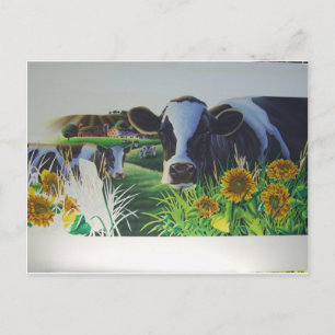 Moo Cow With SunFlowers Postcard