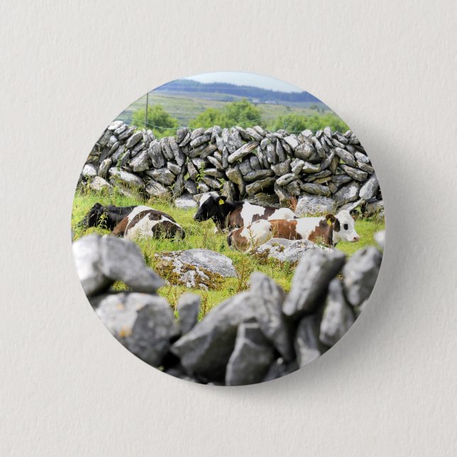 Moo Cows Button (Front)