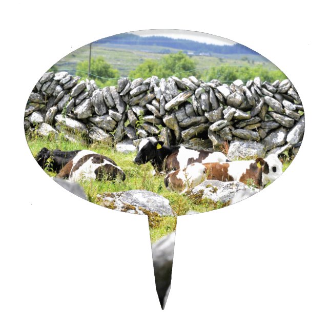 Moo Cows Cake Topper (Front)