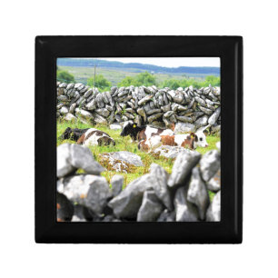Moo Cows Keepsake Box