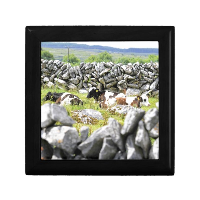 Moo Cows Keepsake Box (Front)