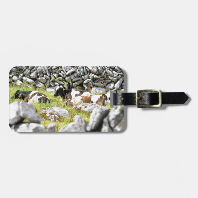 Moo Cows Luggage Tag (Front Horizontal)