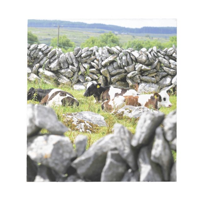 Moo Cows Notepad (Front)