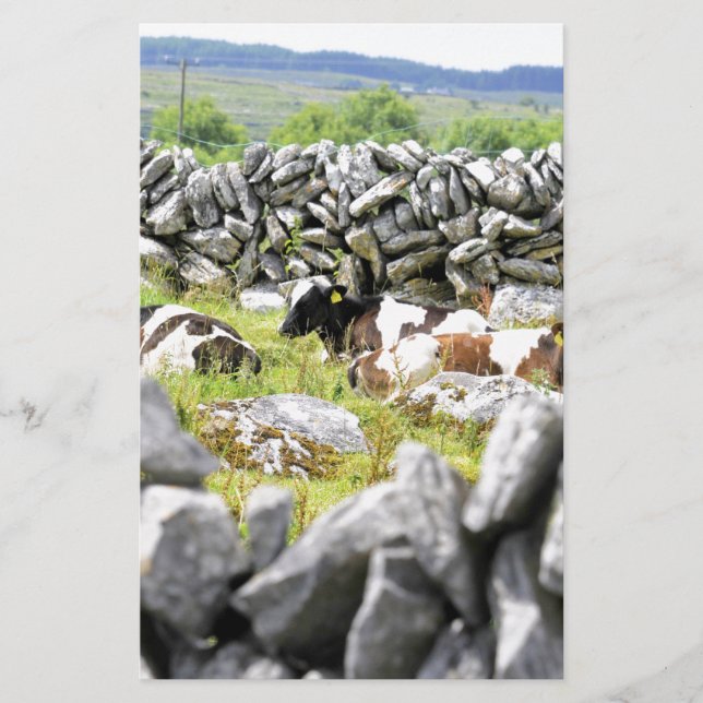 Moo Cows Stationery (Front)