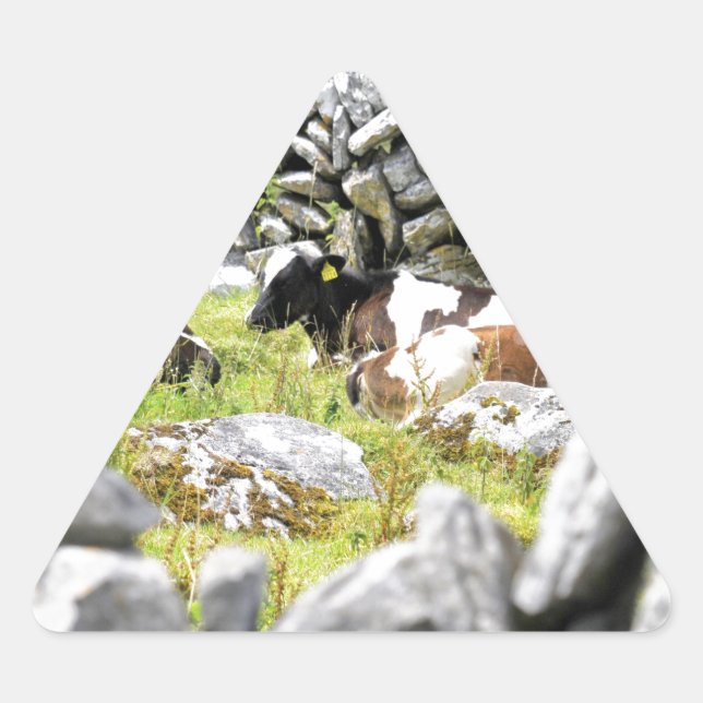 Moo Cows Triangle Sticker (Front)