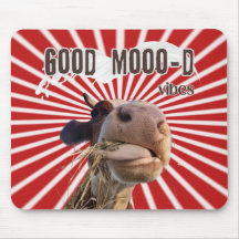 Moo-ve Through Work: Good Moo-d Vibes