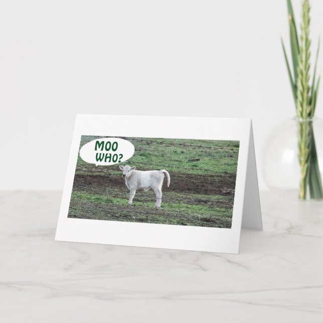MOO WHO SAYS THE COW OR BOO HOO 40th BIRTHDAY Card (Front)