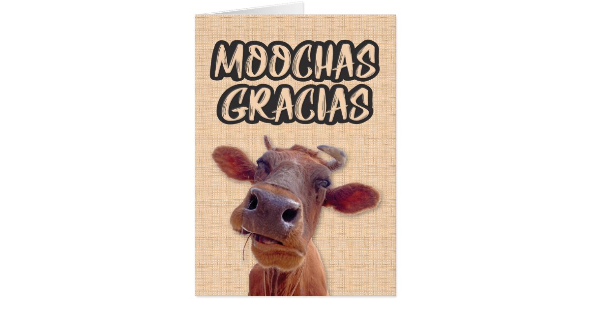 “Moochas Gracias” Cow Thank You Card Zazzle