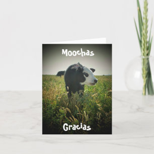 Moochas Gracias Letterpress Thank You Card