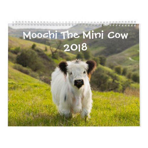 Moochi The Mini Cow 2018 Calendar