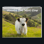 Moochi The Mini Cow Calendar<br><div class="desc">Get a special greeting every month from Moochi the Mini Cow! Enjoy the beautiful photography and endless fluff that will guide you through all of your year in adorable style!</div>