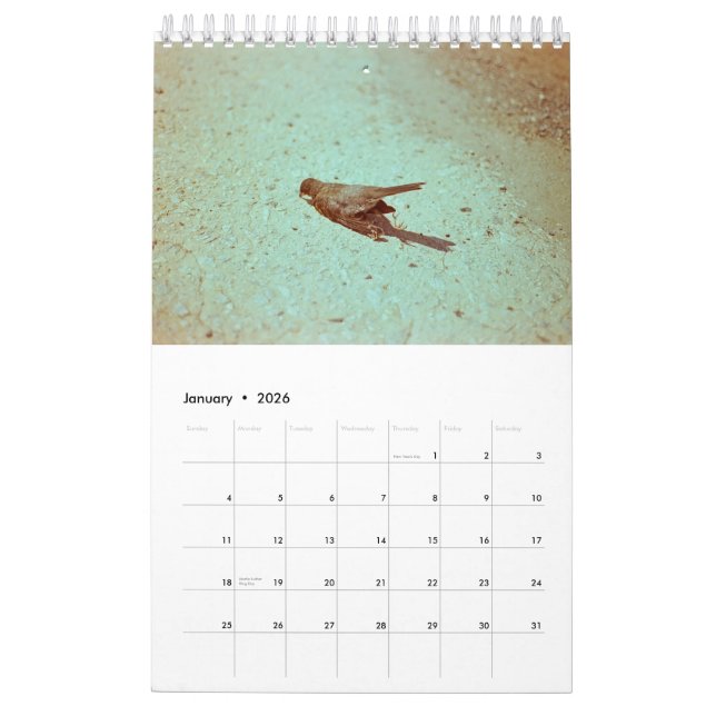 Mood: 2019 calendar (Jan 2026)