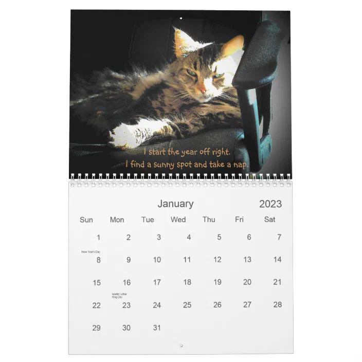 Grumpy Cat 2023 Calendar Moods Of A Grumpy Angel Calendar | Zazzle.com