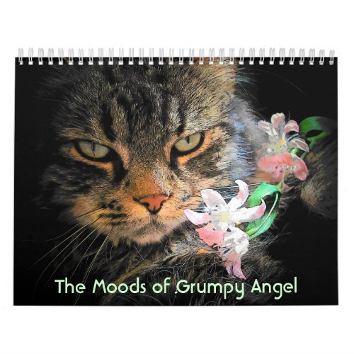 Moods of a Grumpy Angel Calendar