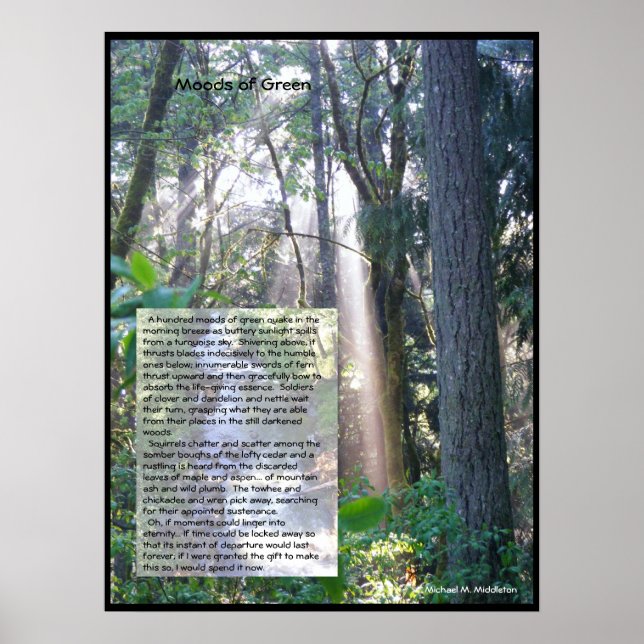 Moods of Green Poster (Front)