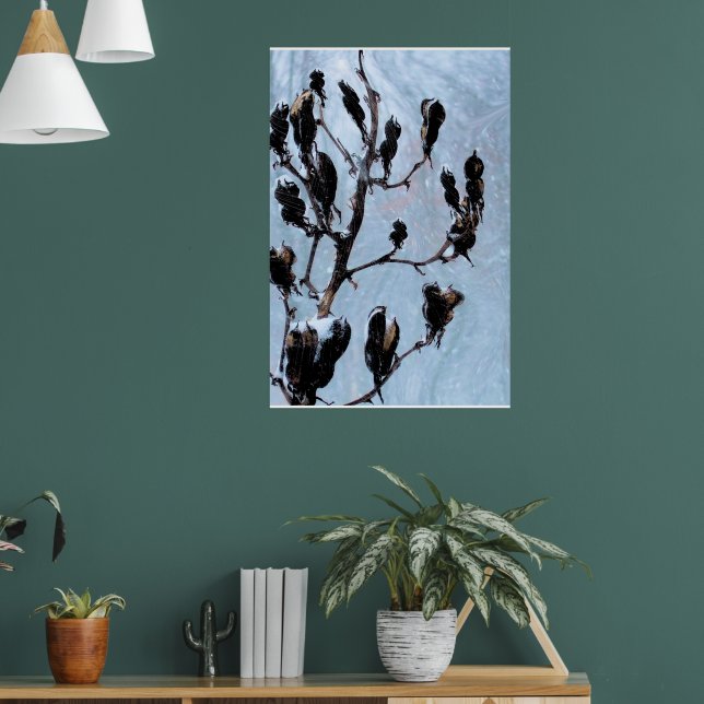 Moody Blues Nature Pods Poster (Living Room 1)