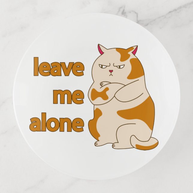 Moody fat cat leave me alone  trinket tray (Front)
