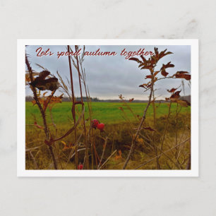 Moody Late Autumn: Red Rosehips and Green Field Postcard