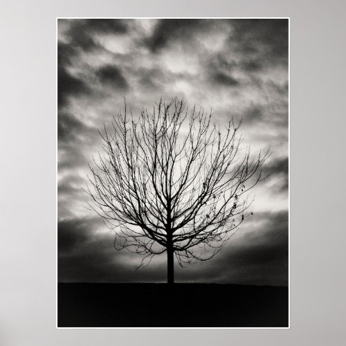 Moody Monochrome Lone Tree and Clouds Poster