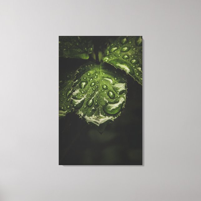 Moody Morning Dew canvas print art (Front)