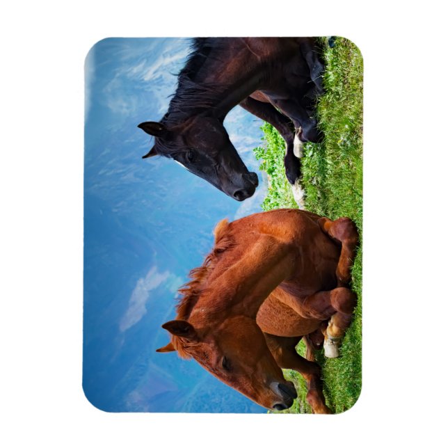 Moody Mountain Horses: A Fine Art  Magnet (Vertical)