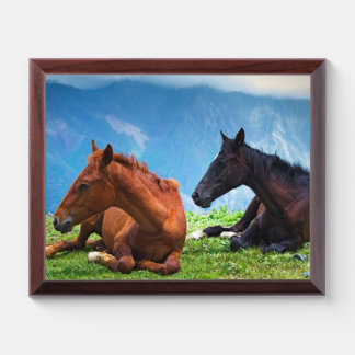Moody Mountain Horses: A Fine Art Travel  Award Plaque