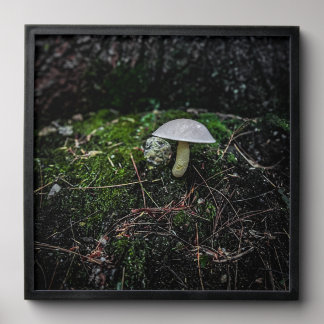 Moody Mushroom Peel And Stick Photo Tile