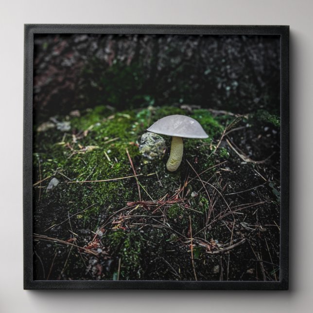 Moody Mushroom Peel And Stick Photo Tile (Front Set)