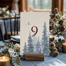Moody Nature Winter Wedding